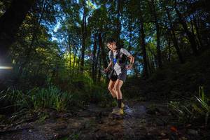 BIB: 
                            <button type="button" onclick="openModal(19233219)" class="btn btn-primary btn-sm float-right btn-popup" data-toggle="modal" data-target=".modal-high-quality">
                        <i class="fas fa-shopping-cart"></i> Add to Cart
                    </button>
                                            <button type="button" onclick="isThisMe(19233219, true)" class="btn btn-success btn-sm float-right btn-popup btn-isme hidden" data-toggle="tooltip" data-placement="bottom" title="นี่คือรูปของคุณใช่ไหม คลิกที่นี่เพื่อเอาเข้าอัลบั้ม">
                        <i class="fas fa-plus"></i> Add to album
                    </button>
                    <button type="button" onclick="isThisMe(19233219, false)" class="btn btn-warning btn-sm float-right btn-popup btn-isnotme hidden">
                        <i class="fas fa-ban"></i> Remove from album
                    </button>